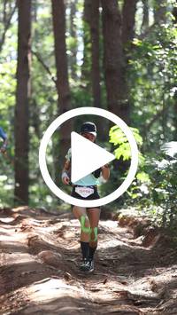 BIB:  <button type="button" onclick="openModal(26569450)" class="btn btn-primary btn-sm float-right" data-toggle="modal" data-target=".modal-high-quality">
                <i class="fa fa-download"></i> Download
                </button>